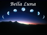 Holistic Therapists Bella-Luna in  
