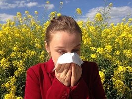 7 Hay Fever Solutions